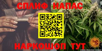 гидропоника Балахна