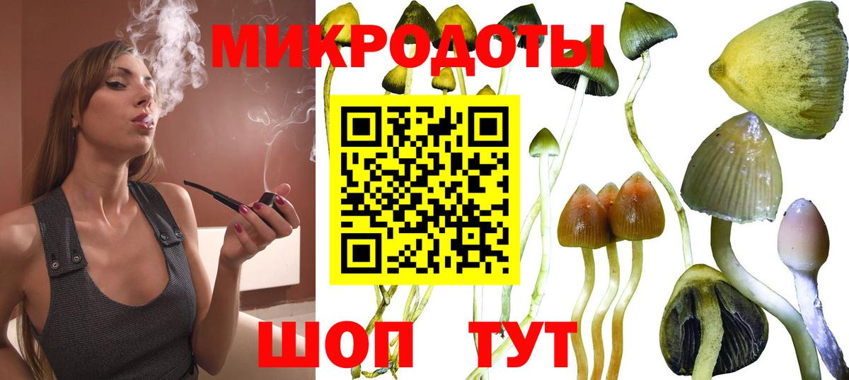 Псилоцибиновые грибы мухоморы Горно-Алтайск
